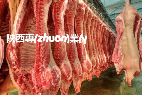 陜西專(zhuān)業(yè)房屋拆除，安全高效服務(wù)保障！